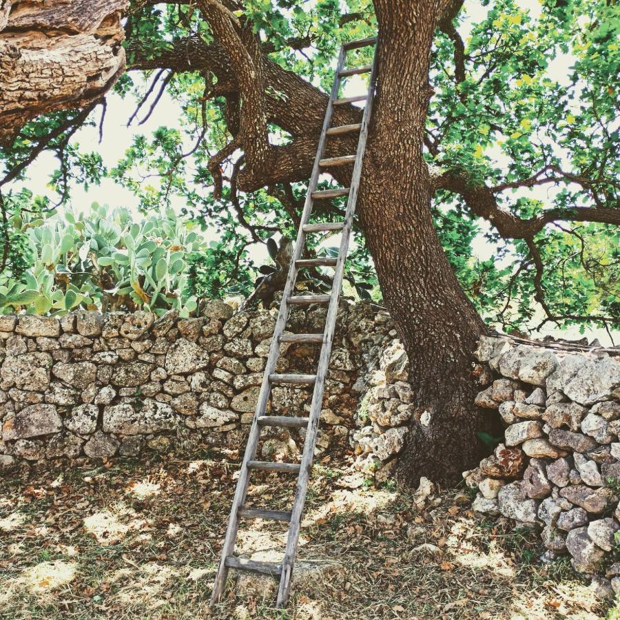 Masseria Lojazzo Ceglie Messapica Extérieur photo